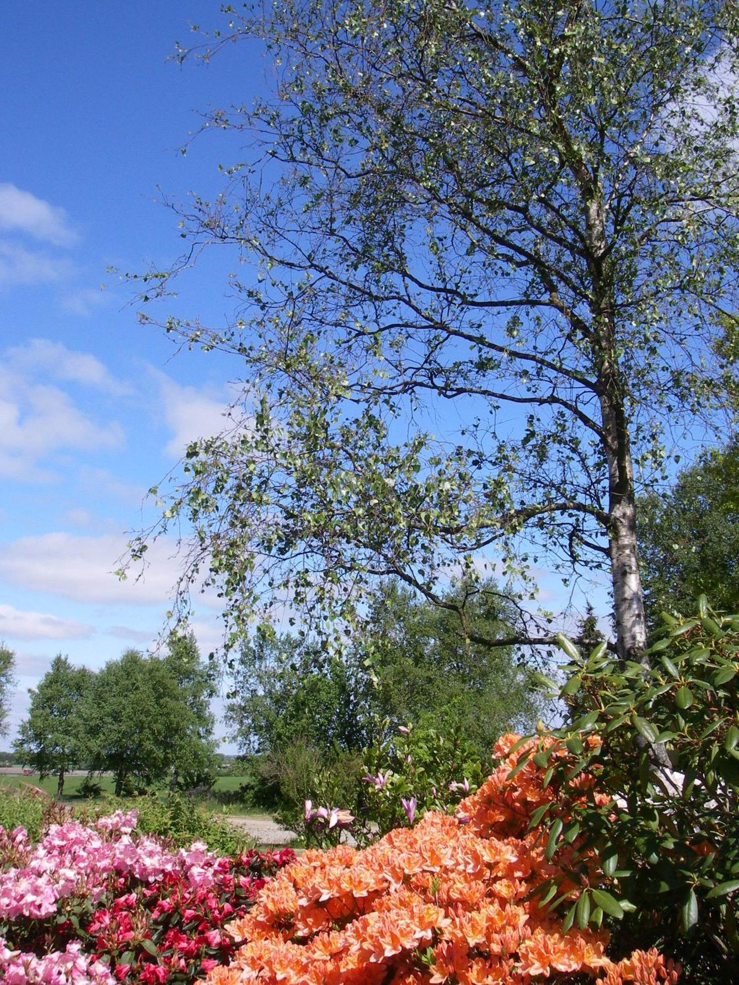Mikkelborg 3*